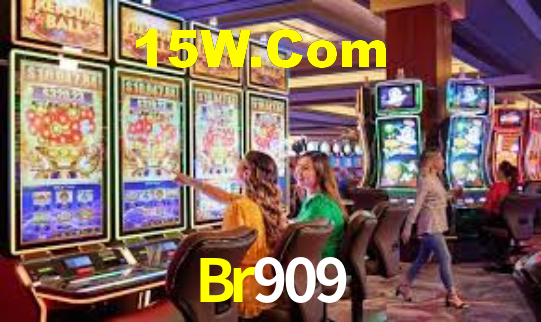 Premium Interface Br909